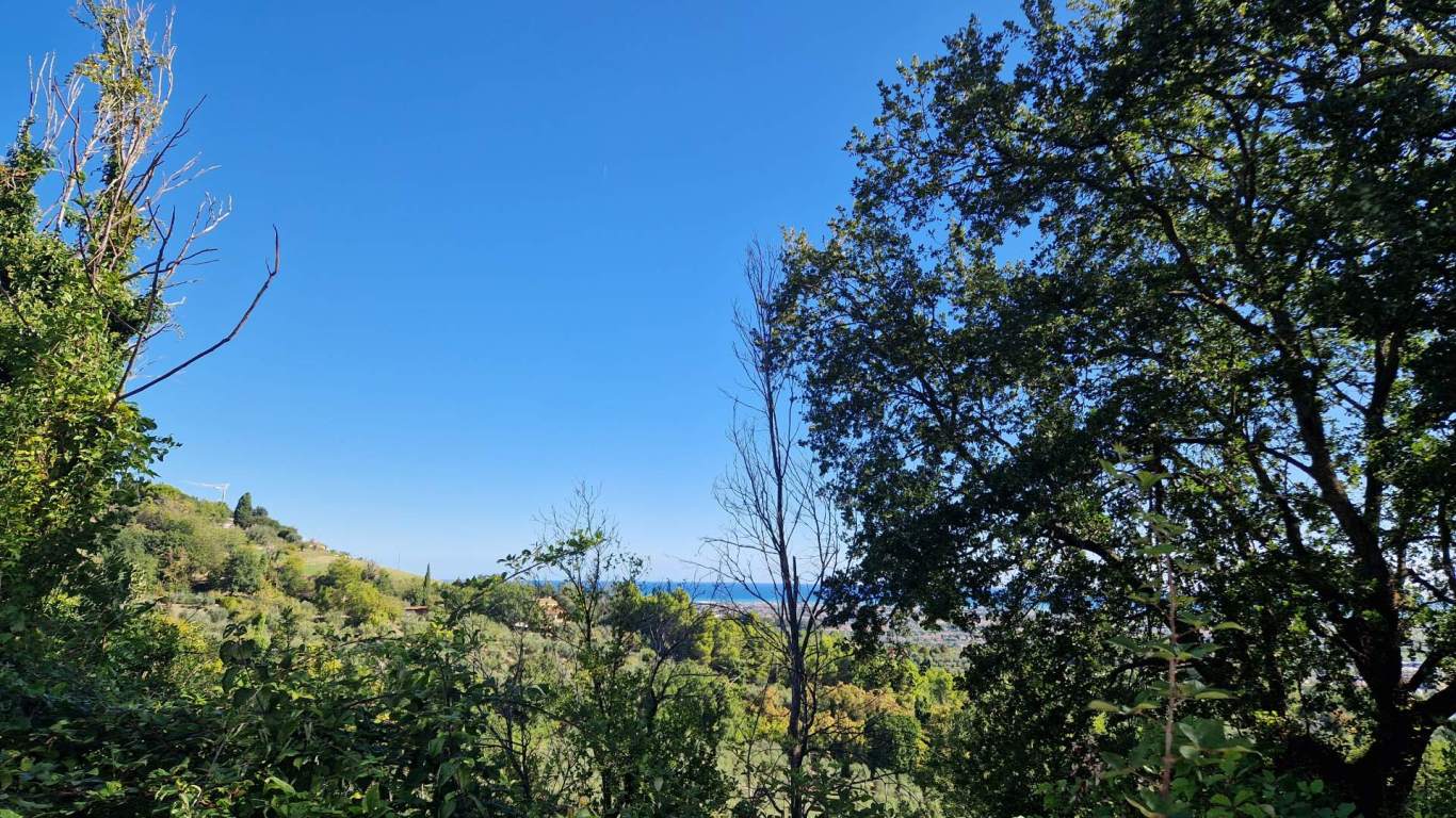 - Fano, zona rosciano - rustico-casolare-cascina di 315,50mq in vendita - Rif. RV1126