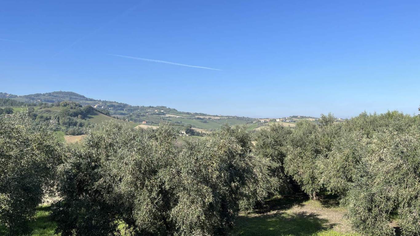 - Cartoceto, unifamiliare casa singola di 264,00mq in vendita - Rif. RV2140