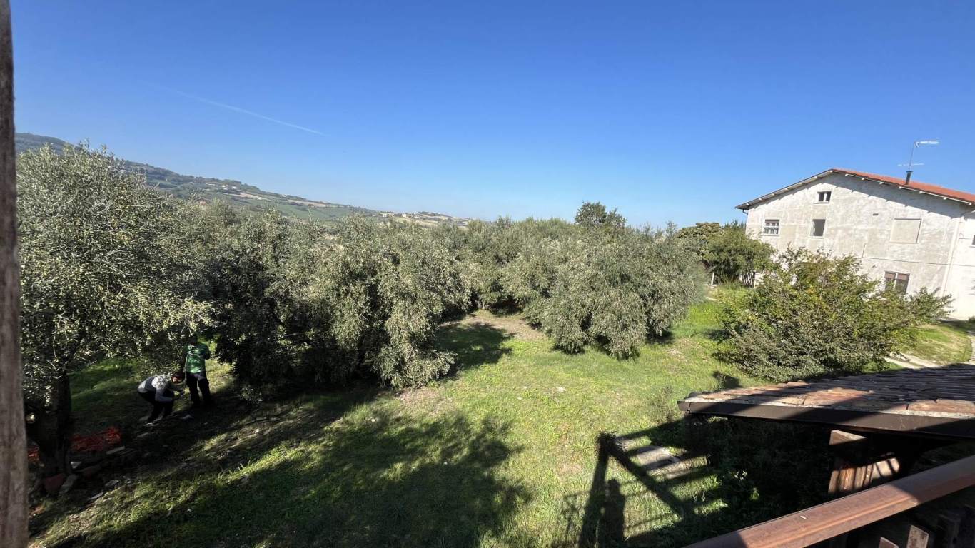 - Cartoceto, unifamiliare casa singola di 264,00mq in vendita - Rif. RV2140