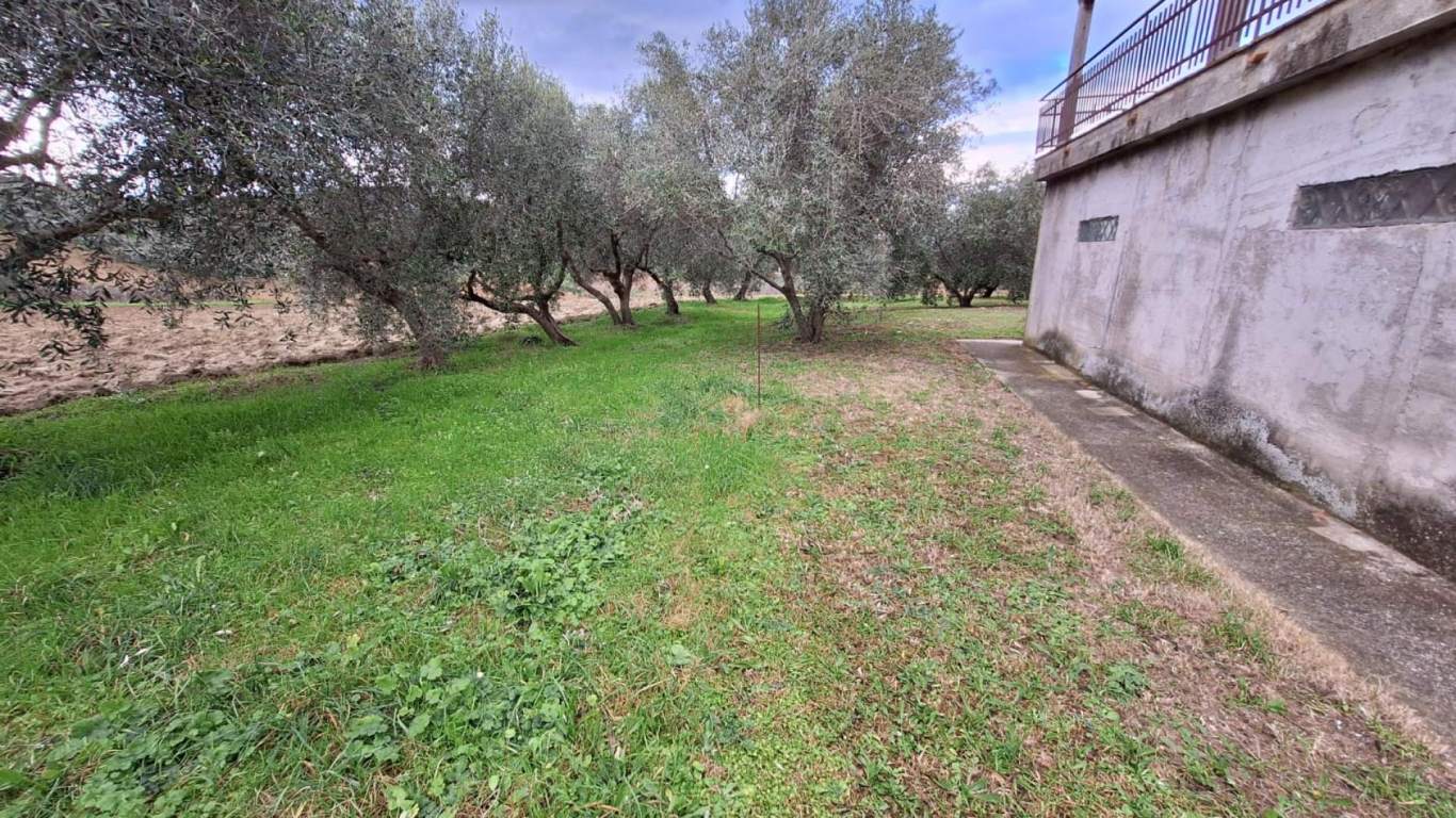 - Cartoceto, unifamiliare casa singola di 264,00mq in vendita - Rif. RV2140