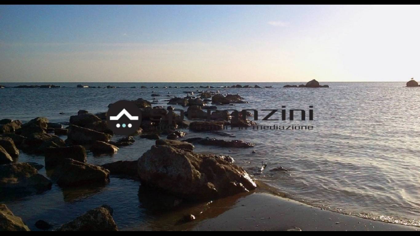 foto generiche