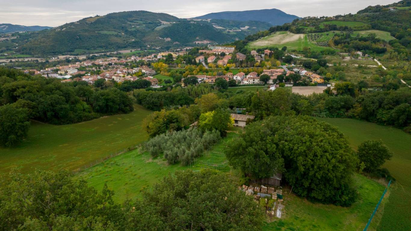 proprietà con vista