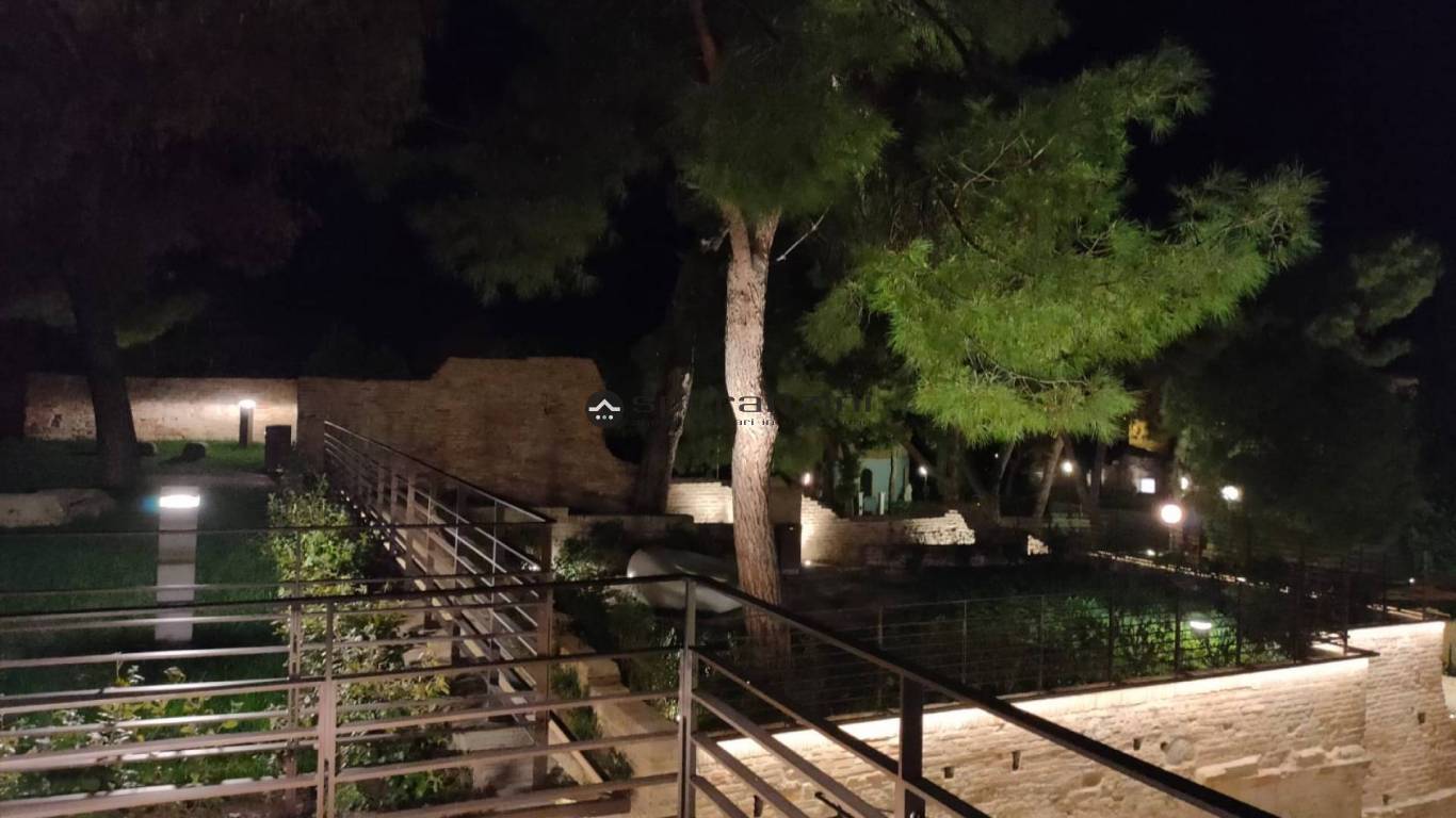 foto generiche