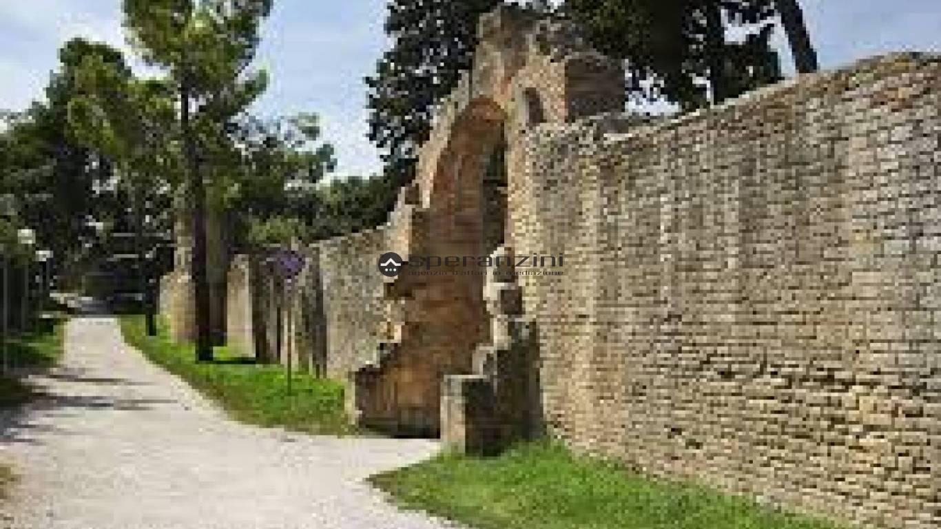foto generiche