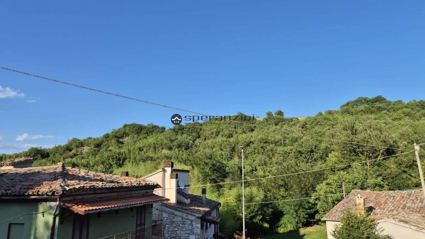 vista