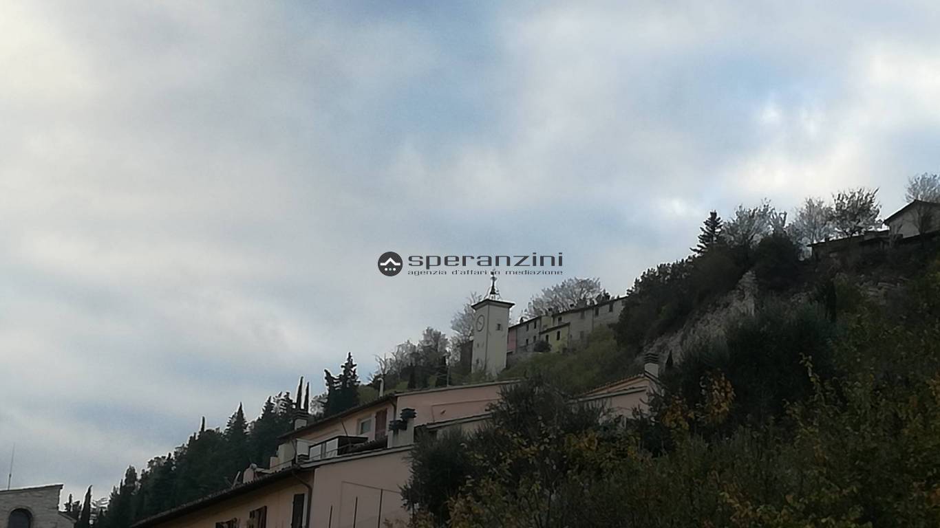 foto generiche