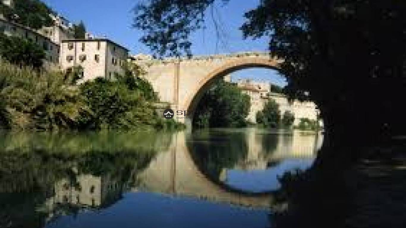 foto generiche