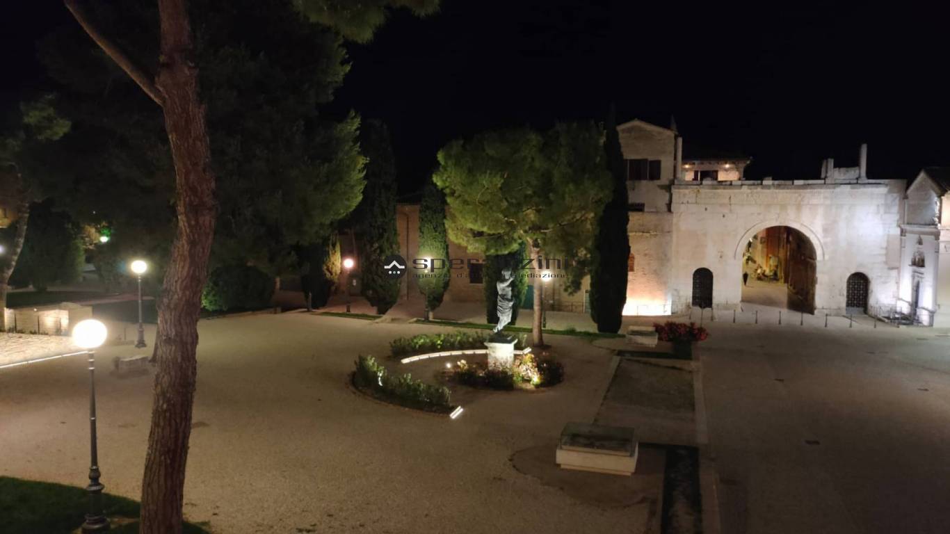 foto generiche