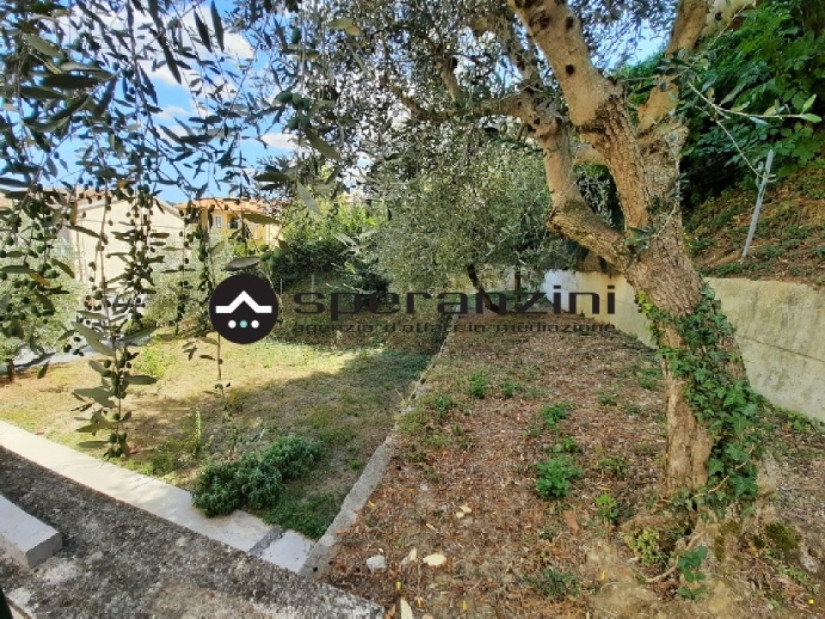 giardino - Cartoceto, unifamiliare casa singola di 337,00mq in vendita - Rif. RV1477