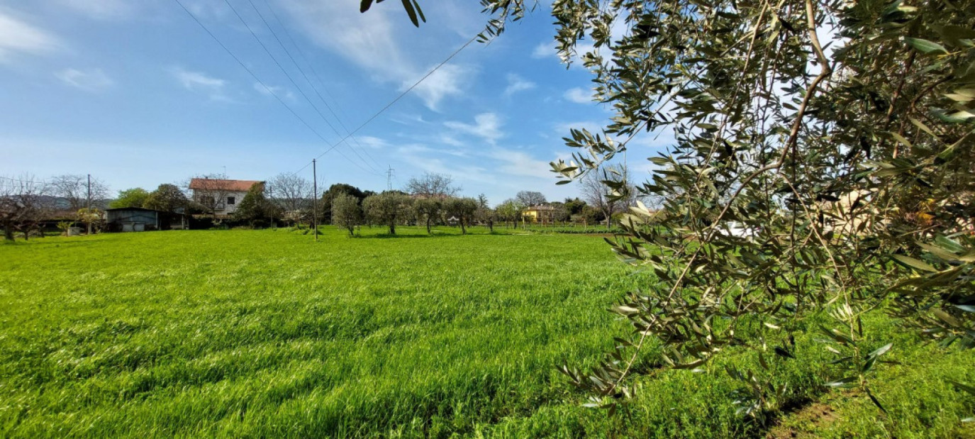 ESTERNO - Fano, zona bellocchi - bifamiliare di 360,00mq in vendita - Rif. RV1795