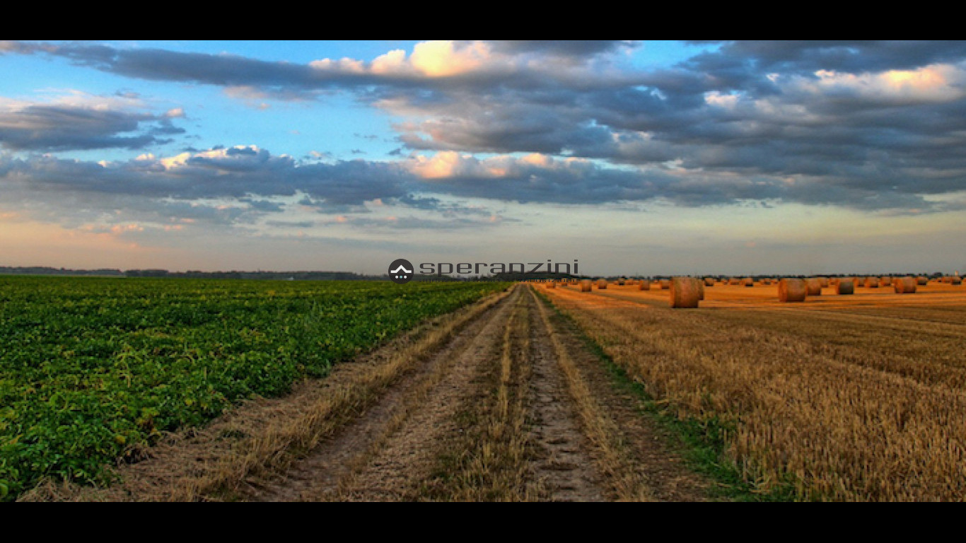 terreno - Fano, zona prelato - terreno agricolo di 75.000,00mq in vendita - Rif. TV1902