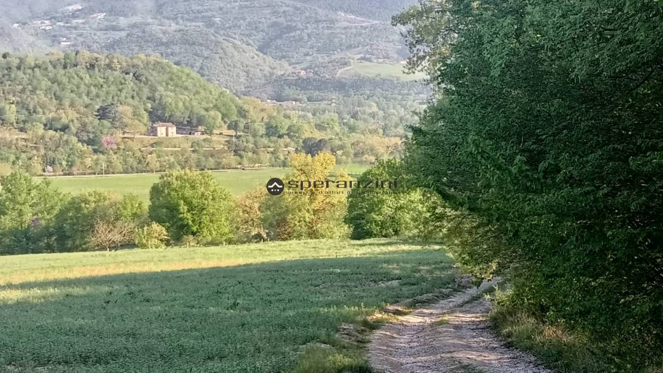 terreno - Fossombrone, terreno agricolo di 100.000,00mq in vendita - Rif. TV1909