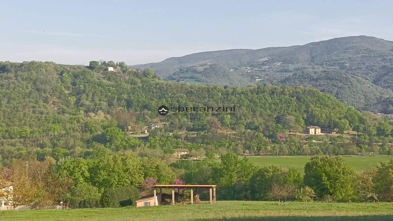 terreno - Fossombrone, terreno agricolo di 100.000,00mq in vendita - Rif. TV1909