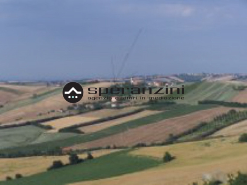  - Sant'ippolito, terreno agricolo di 14.405,00mq in vendita - Rif. TV1152