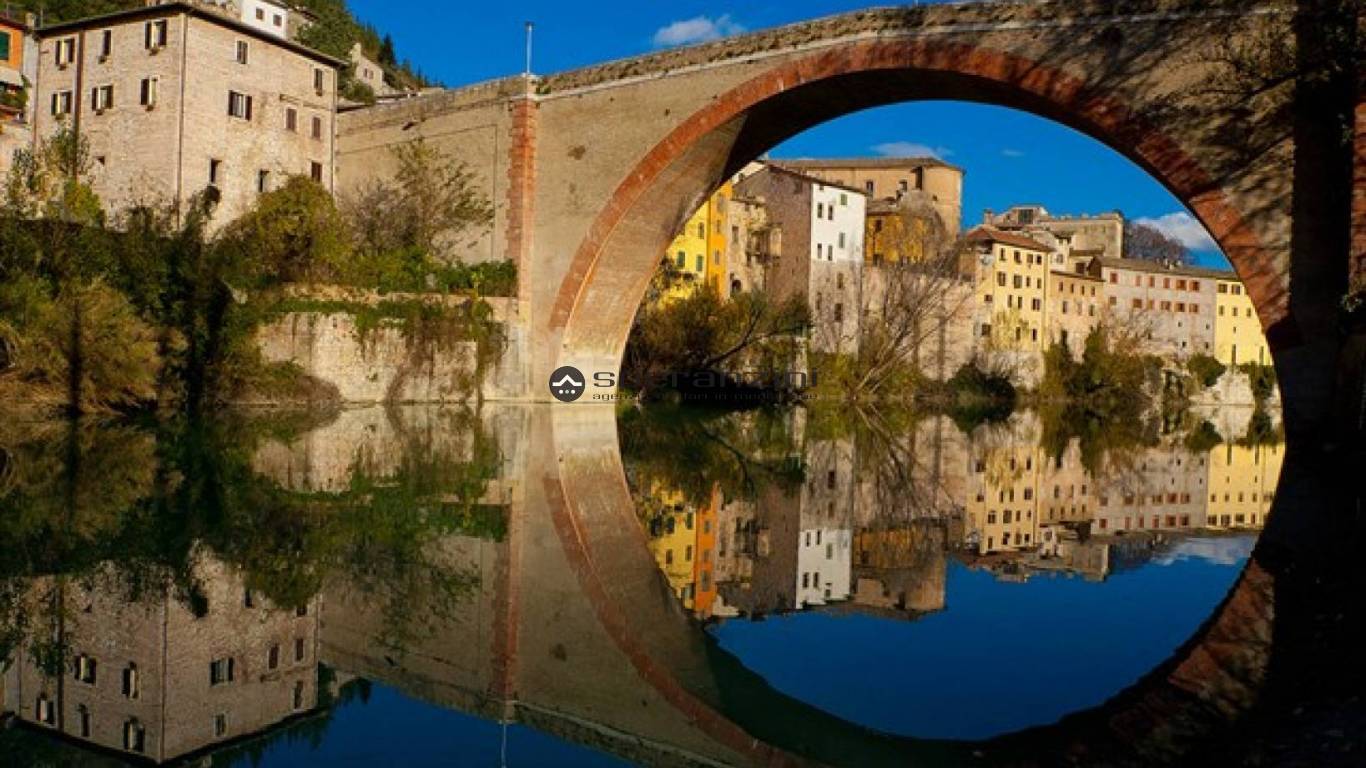 foto generiche
