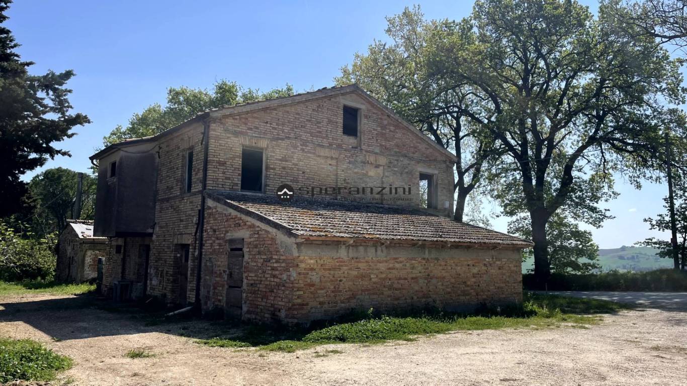 rustico