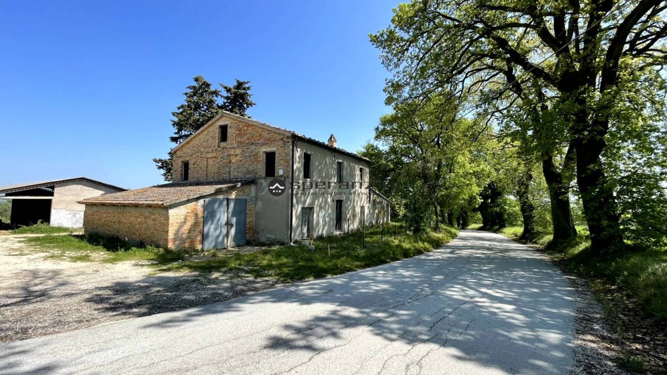rustico