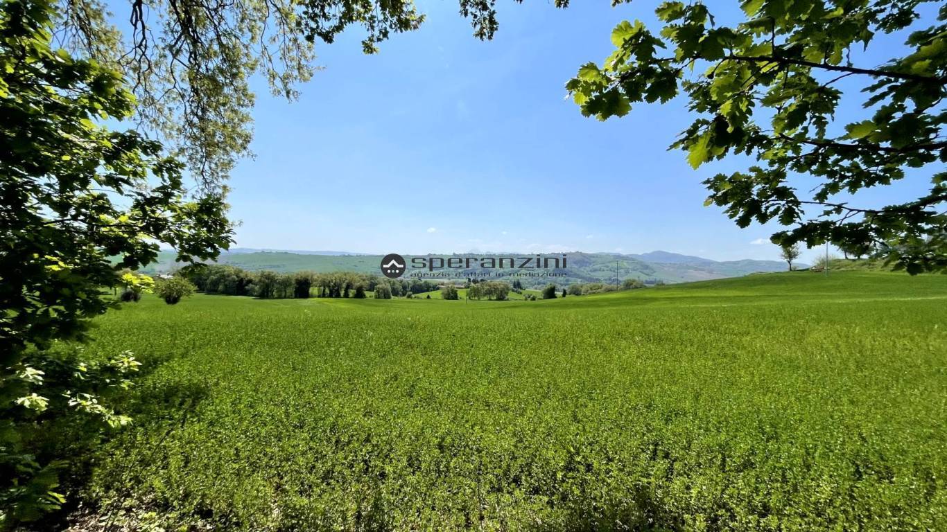 vista