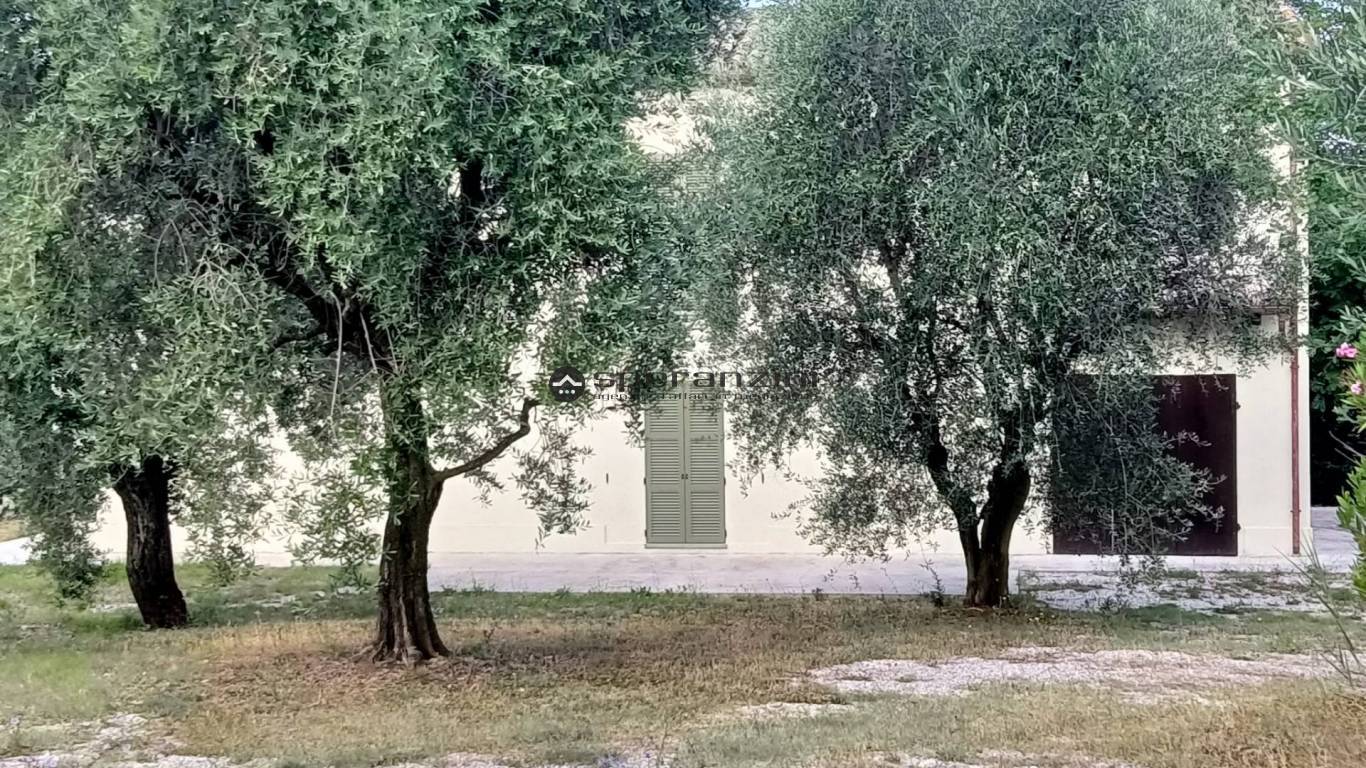 casa - Isola del piano, rustico-casolare-cascina di 180,00mq in vendita - Rif. RV2101