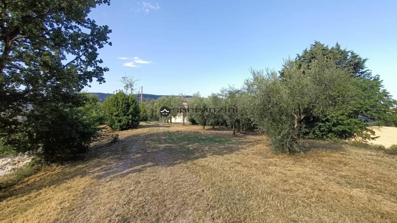 casa - Isola del piano, rustico-casolare-cascina di 180,00mq in vendita - Rif. RV2101