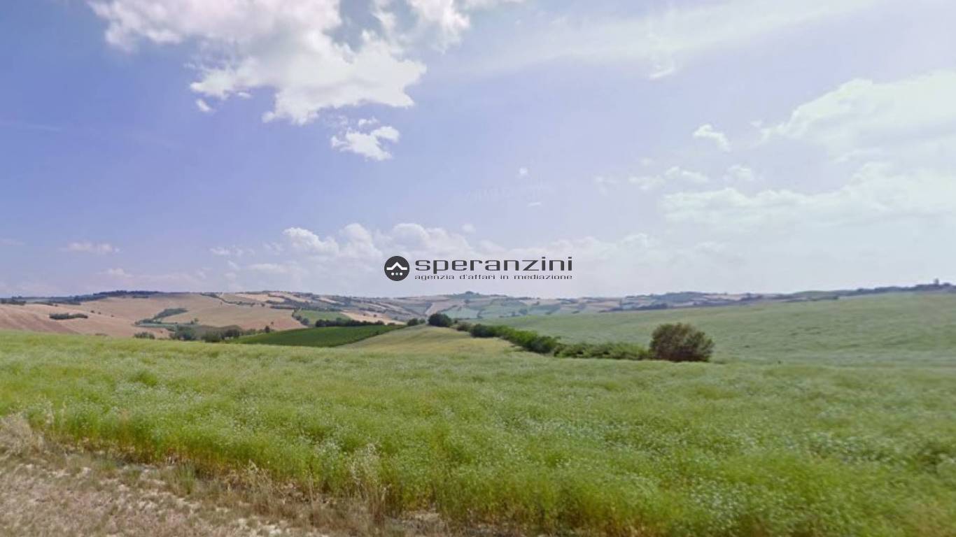 terreno - San costanzo, terreno agricolo di 180.000,00mq in vendita - Rif. TV1910