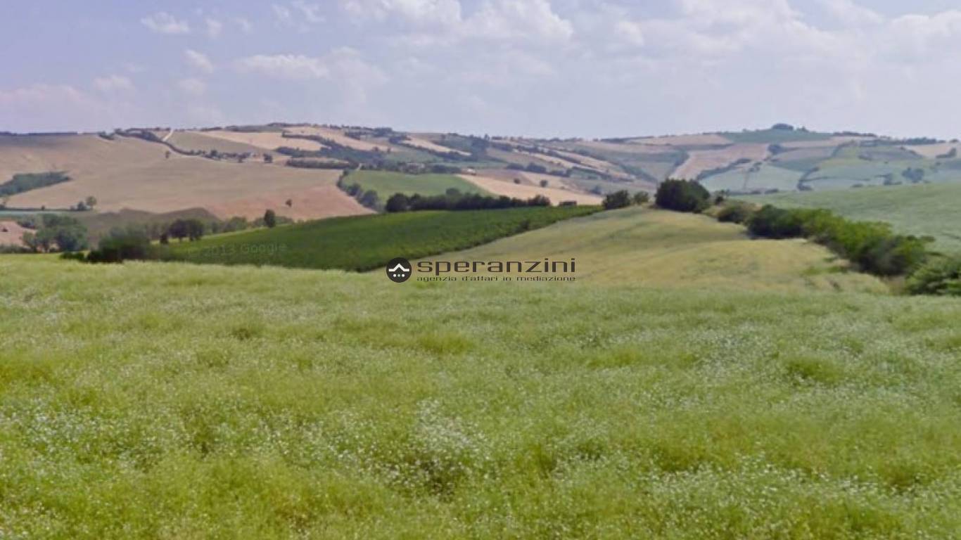 terreno - San costanzo, terreno agricolo di 180.000,00mq in vendita - Rif. TV1910