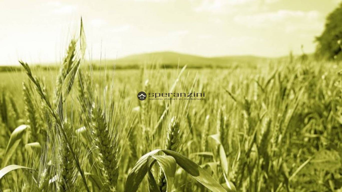 foto generiche terreno