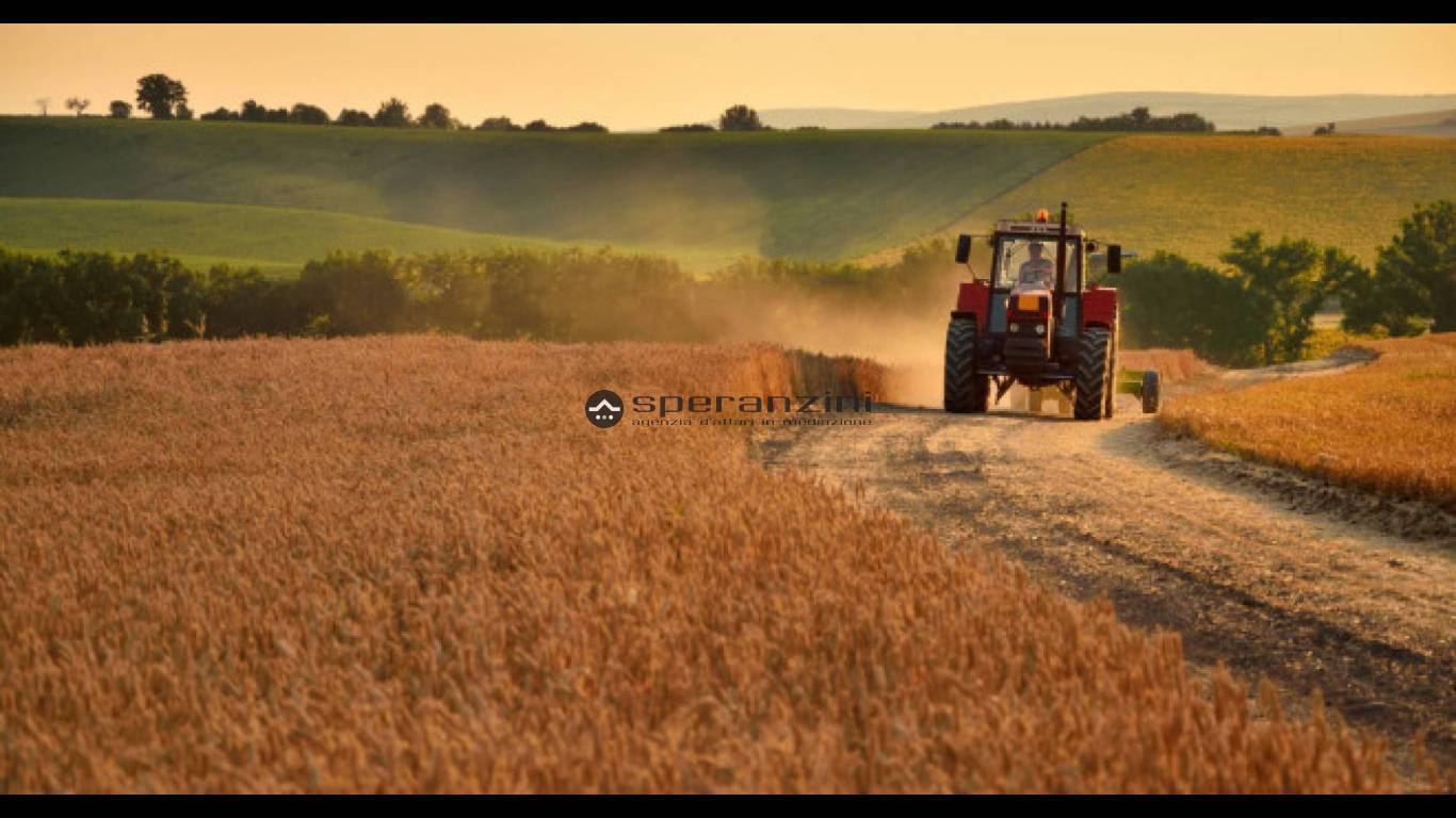 foto generiche terreno