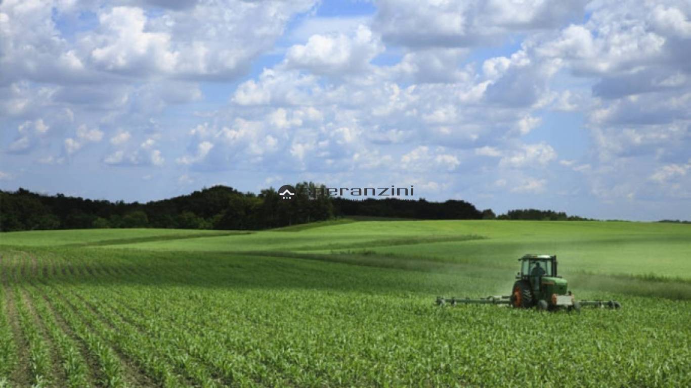 foto dimostrative - Fano, zona carrara - terreno agricolo di 25.389,00mq in vendita - Rif. TV1912