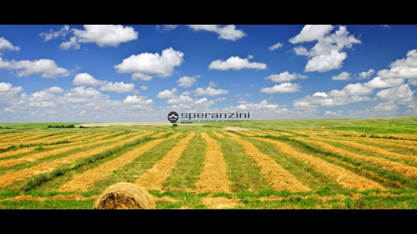 foto dimostrative - Fano, zona carrara - terreno agricolo di 25.389,00mq in vendita - Rif. TV1912