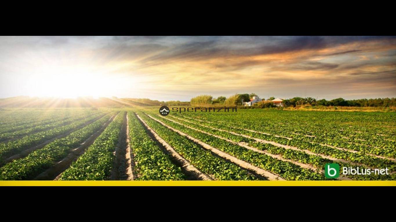 foto dimostrative - Fano, zona carrara - terreno agricolo di 25.389,00mq in vendita - Rif. TV1912