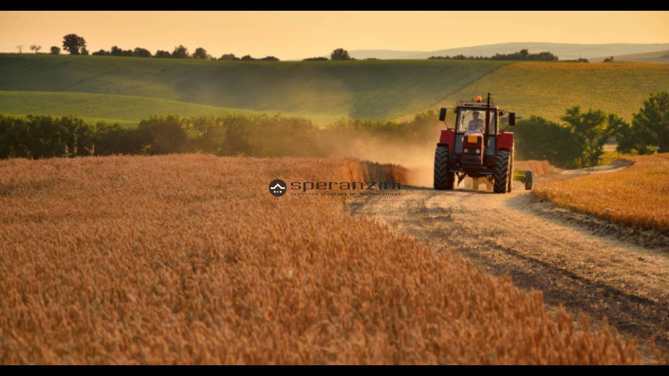 foto dimostrative - Fano, zona carrara - terreno agricolo di 25.389,00mq in vendita - Rif. TV1912