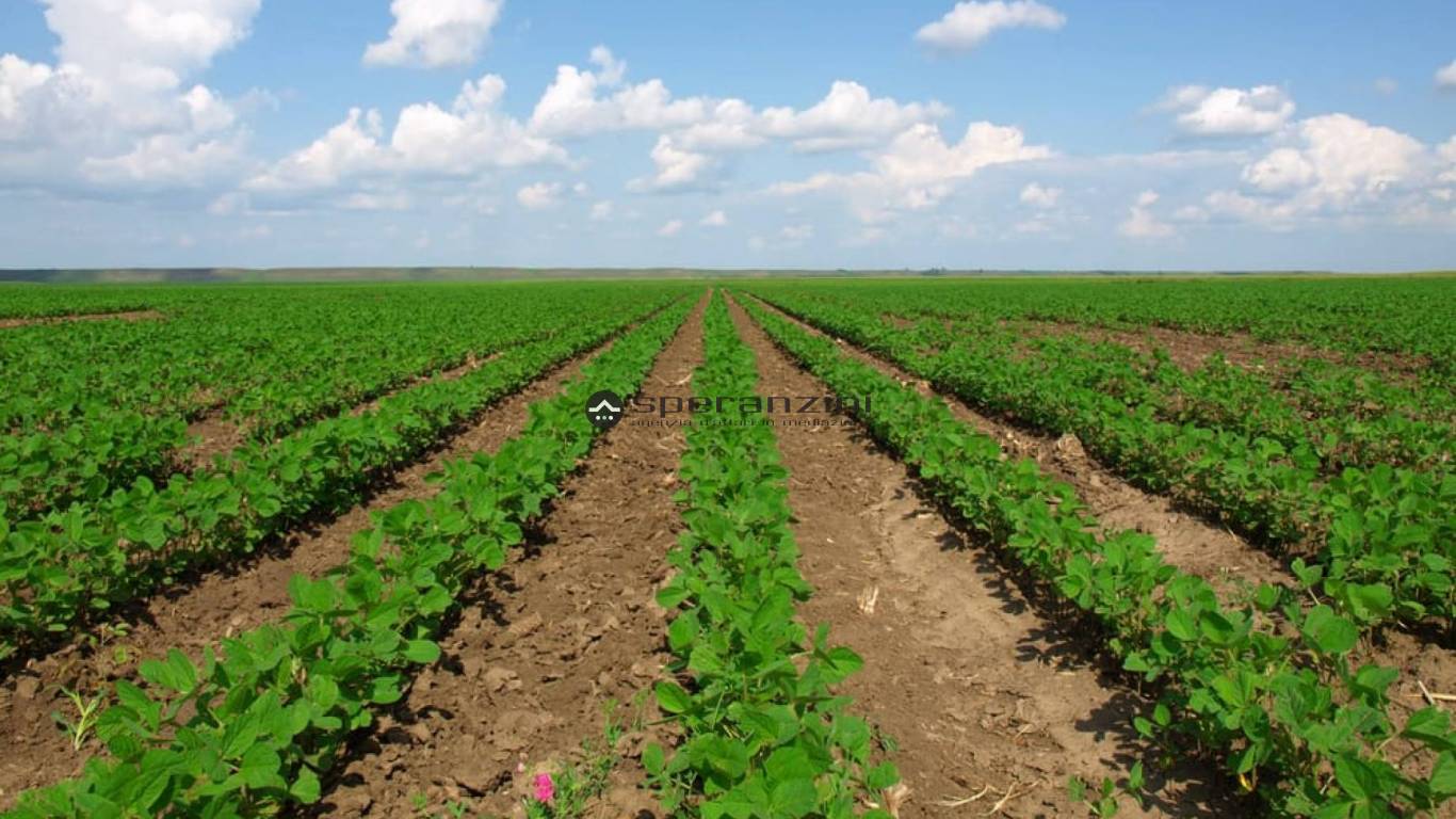 foto dimostrative - Fano, zona carrara - terreno agricolo di 25.389,00mq in vendita - Rif. TV1912